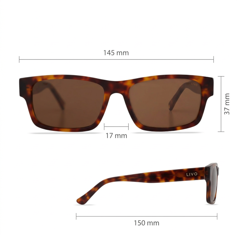 Dimensões Óculos Livo Kelvin - Demi Ruivo