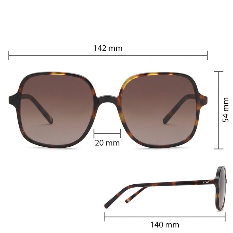 Dimensões Óculos Livo Eva - Demi Classico