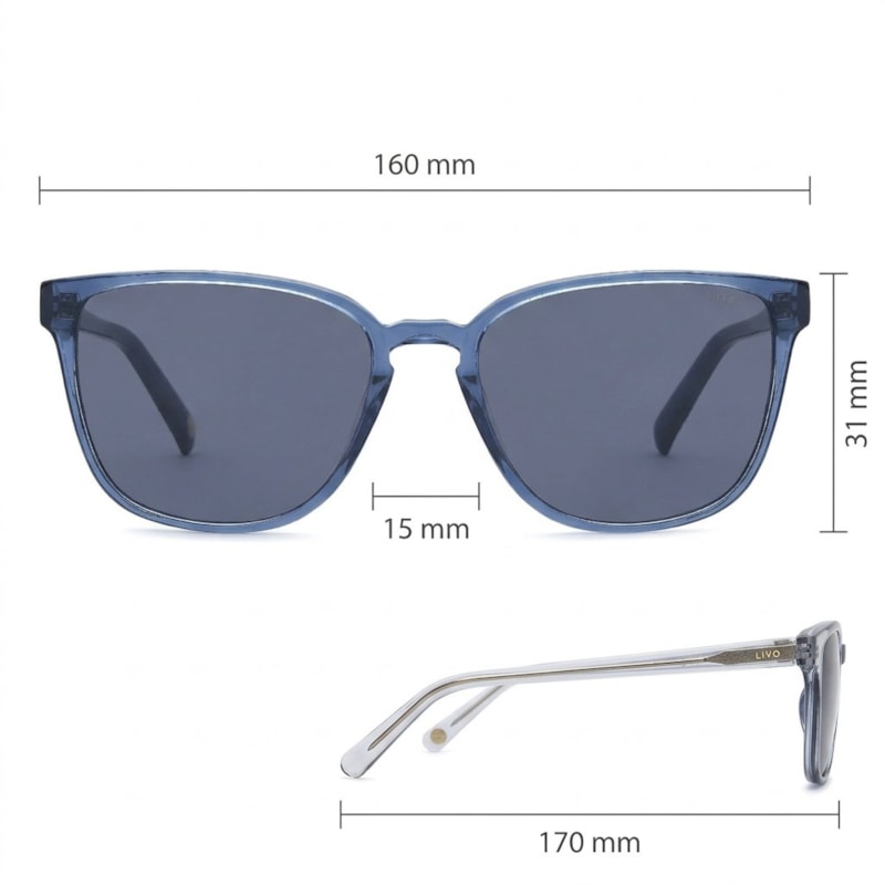 Dimensões Óculos Livo Dani - Azul Escuro