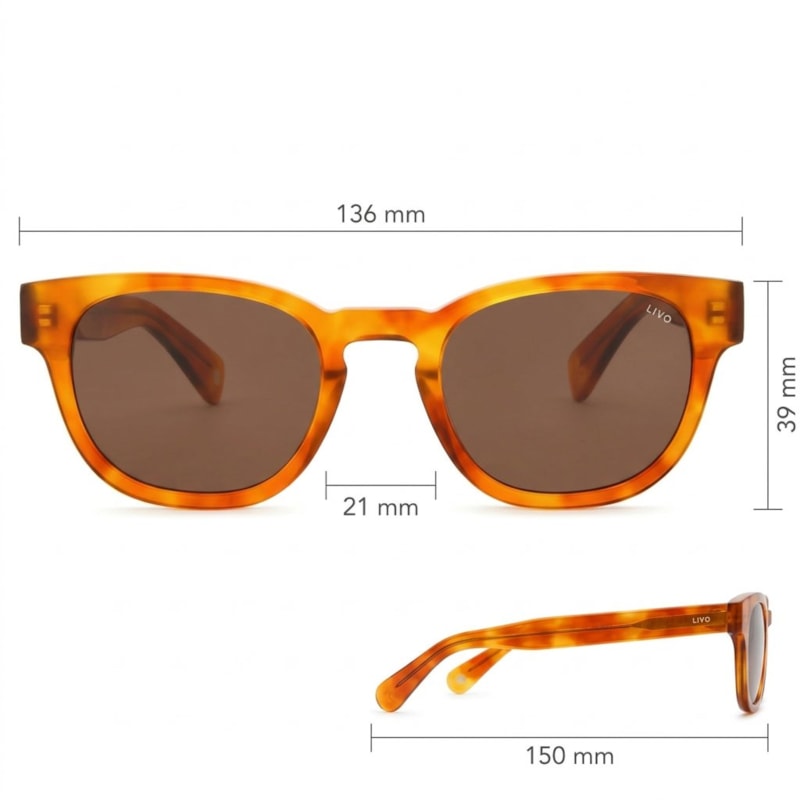 Dimensões Óculos Livo Sasha - Caramelo