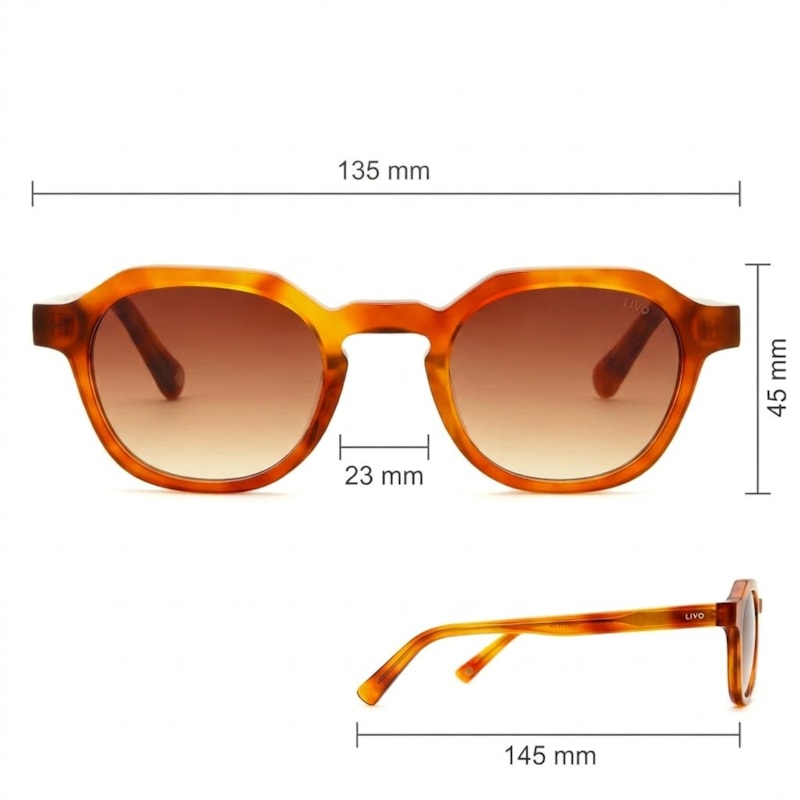 Dimensões Óculos Livo Everton - Caramelo