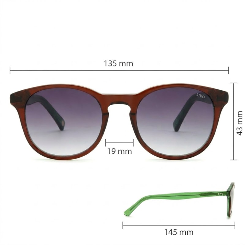 Dimensões Óculos Livo Art - Marrom + Verde