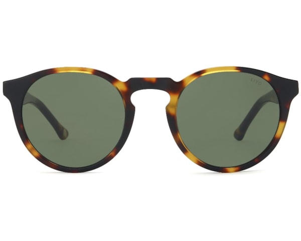 Armando - Demi Classico Armando - Demi Classico