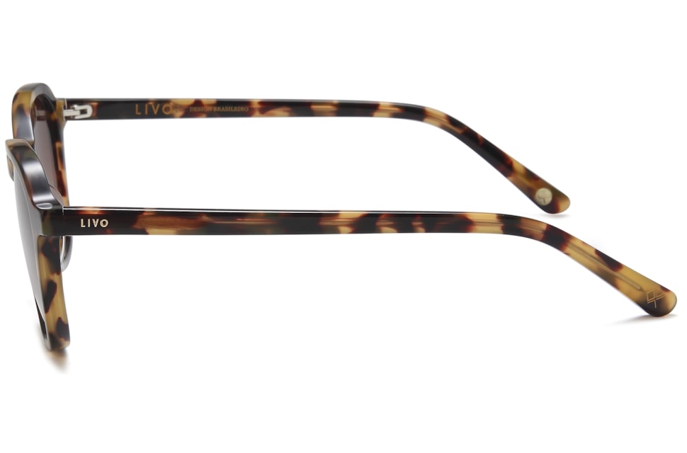 Caique - Demi Amarelo