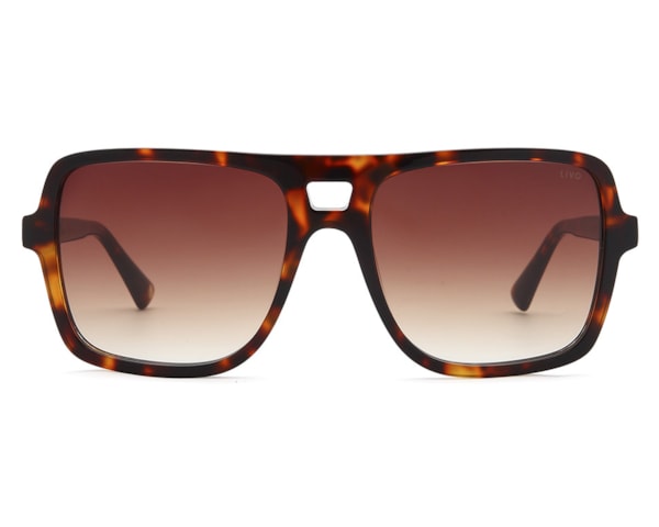 ELVIS - DEMI CLÁSSICO ELVIS - DEMI CLÁSSICO