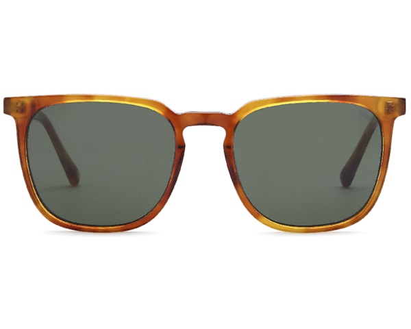 Eric - Demi Loiro Eric - Demi Loiro