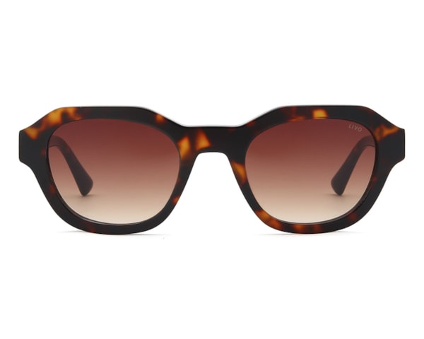 JOHNNY - DEMI CLÁSSICO JOHNNY - DEMI CLÁSSICO