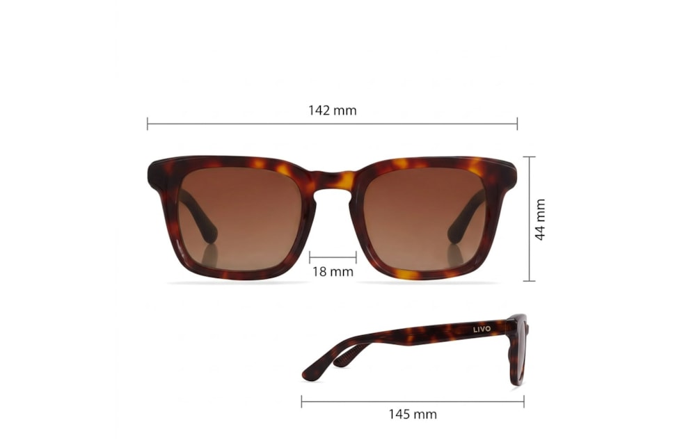 Marcelo - Demi Ruivo