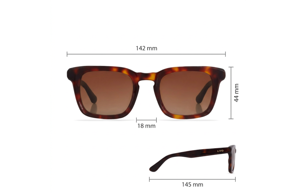 Marcelo - Demi Ruivo