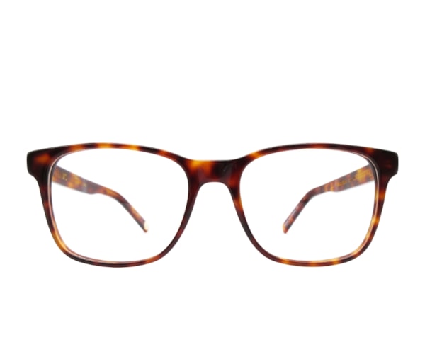 Mauricio - Demi Loiro