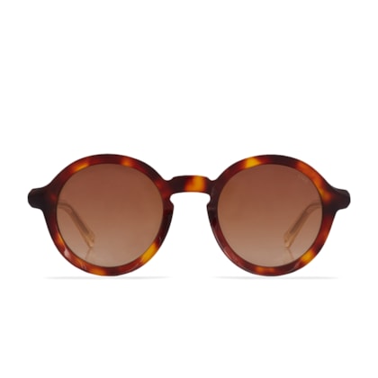 Noah - Demi Ruivo + Champagne