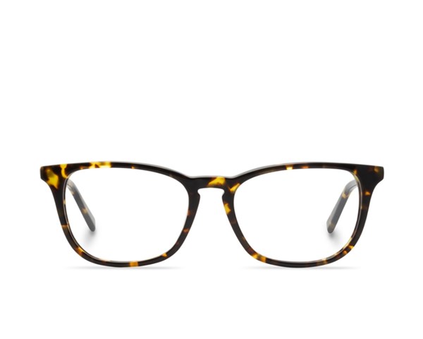 Óculos de grau Livo Leon - Demi Classico