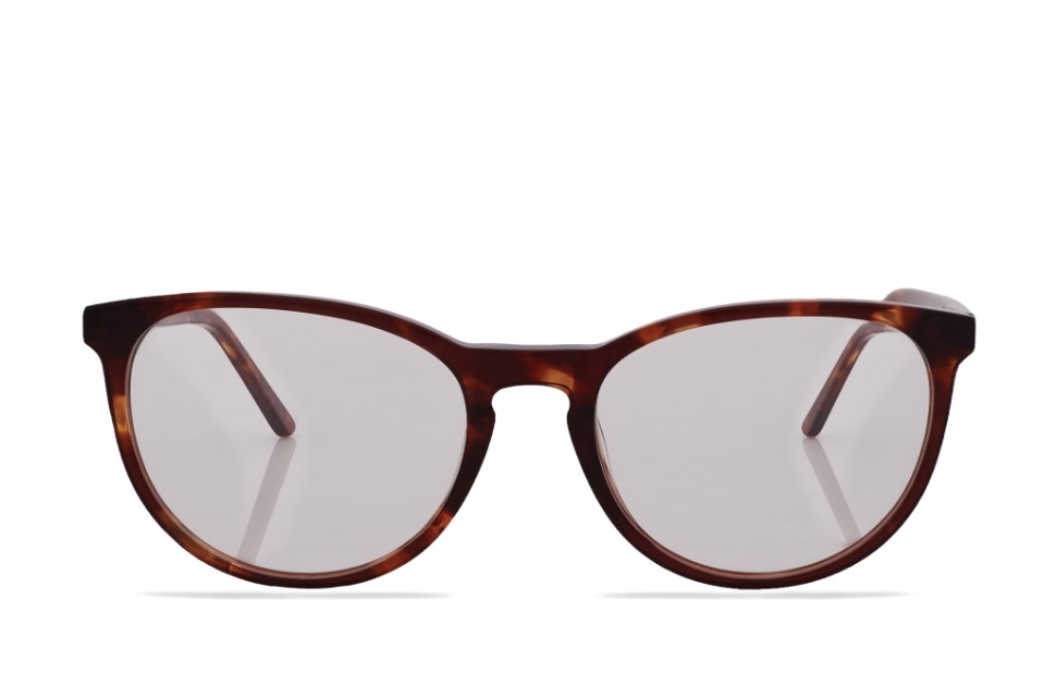 Óculos de grau Livo Mada - Demi Classico-foto-do-produto-0