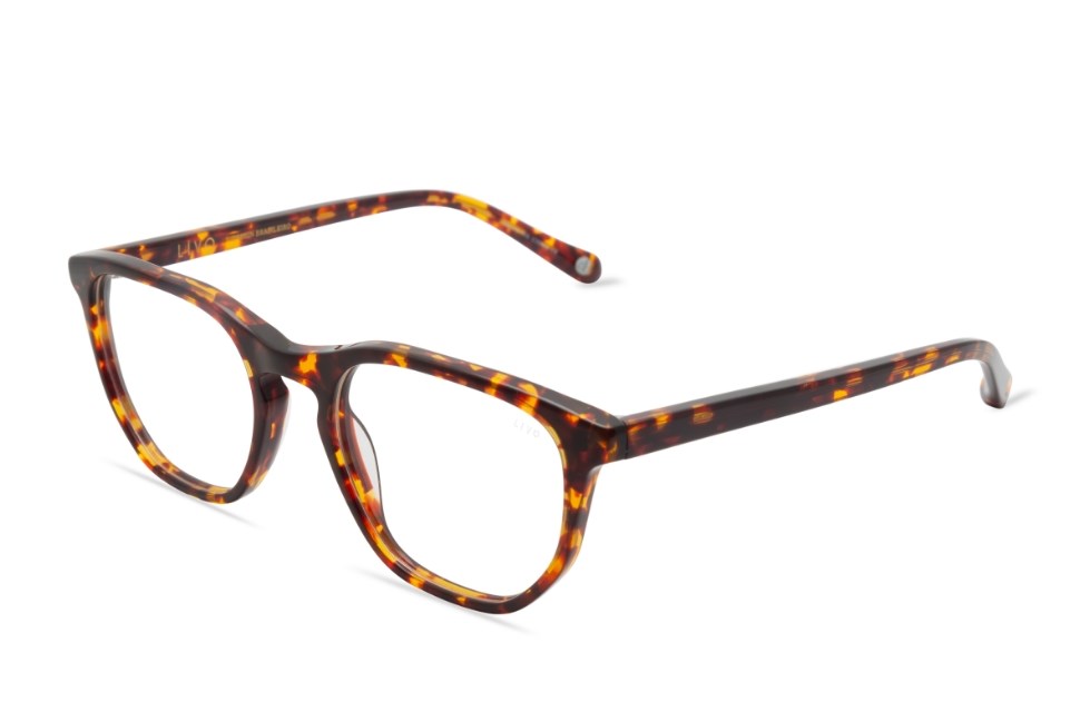 Óculos de grau Livo Pedro - Demi Classico-foto-do-produto-1