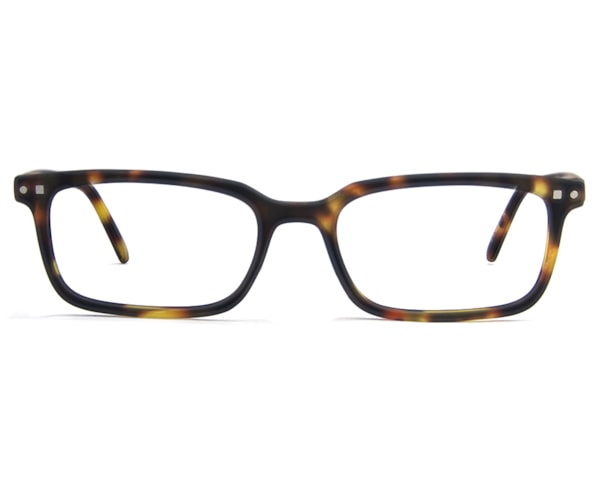 San Diego - Demi Mate San Diego - Demi Mate