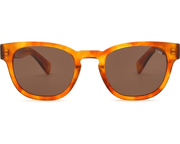 Sasha - Caramelo Sasha - Caramelo